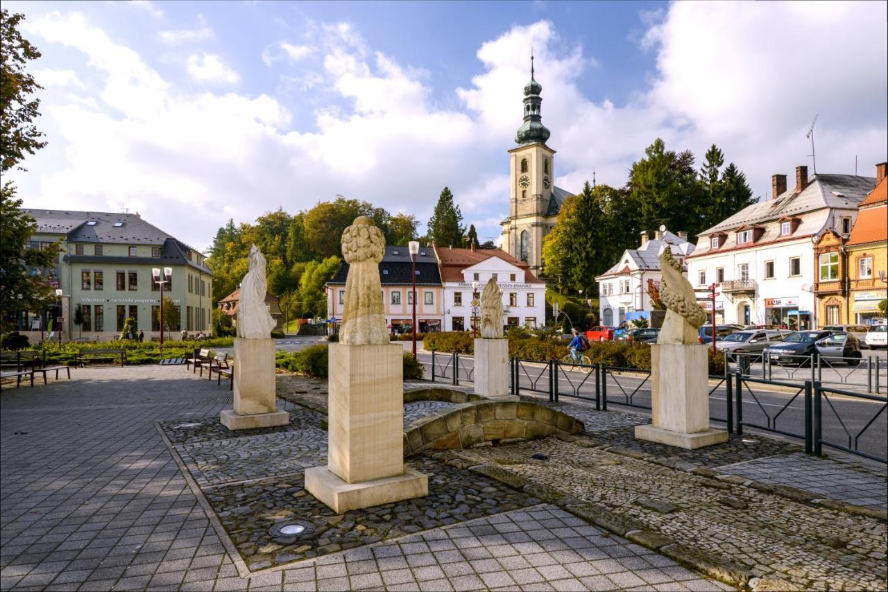Apartmán - Dům Českého Švýcarska Krásná Lípa Exterior foto